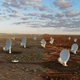 A composite image of the planned SKA dishes (left) and completed MeerKAT dishes (right) in South Africa.